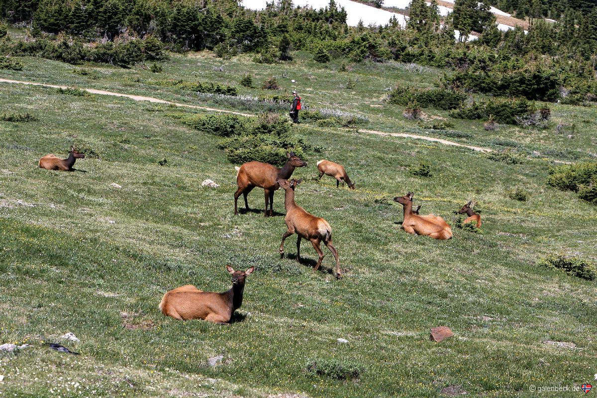 Rocky Mountain National Park