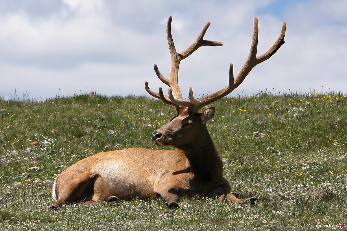 Rocky Mountain National Park