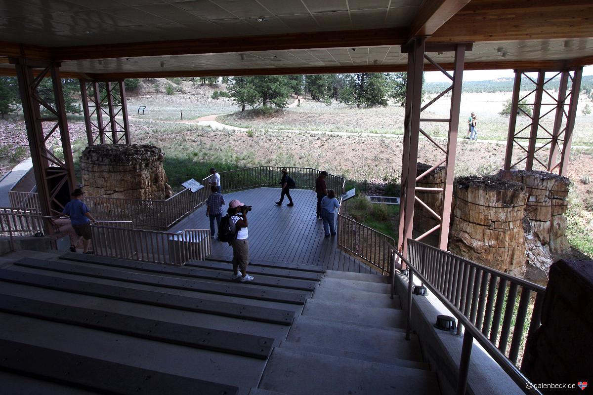 Florissant Fossil Beds National Monument