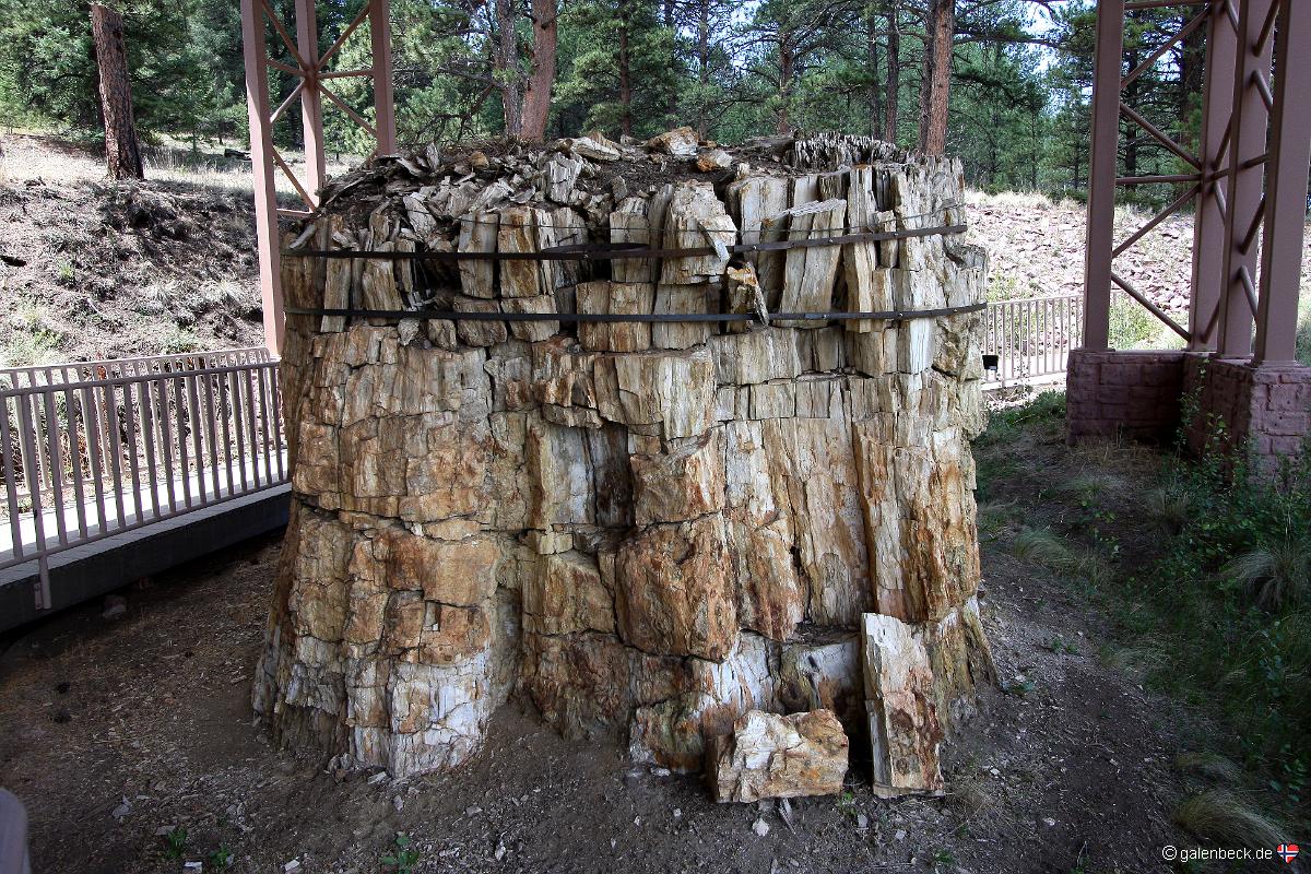 Florissant Fossil Beds National Monument