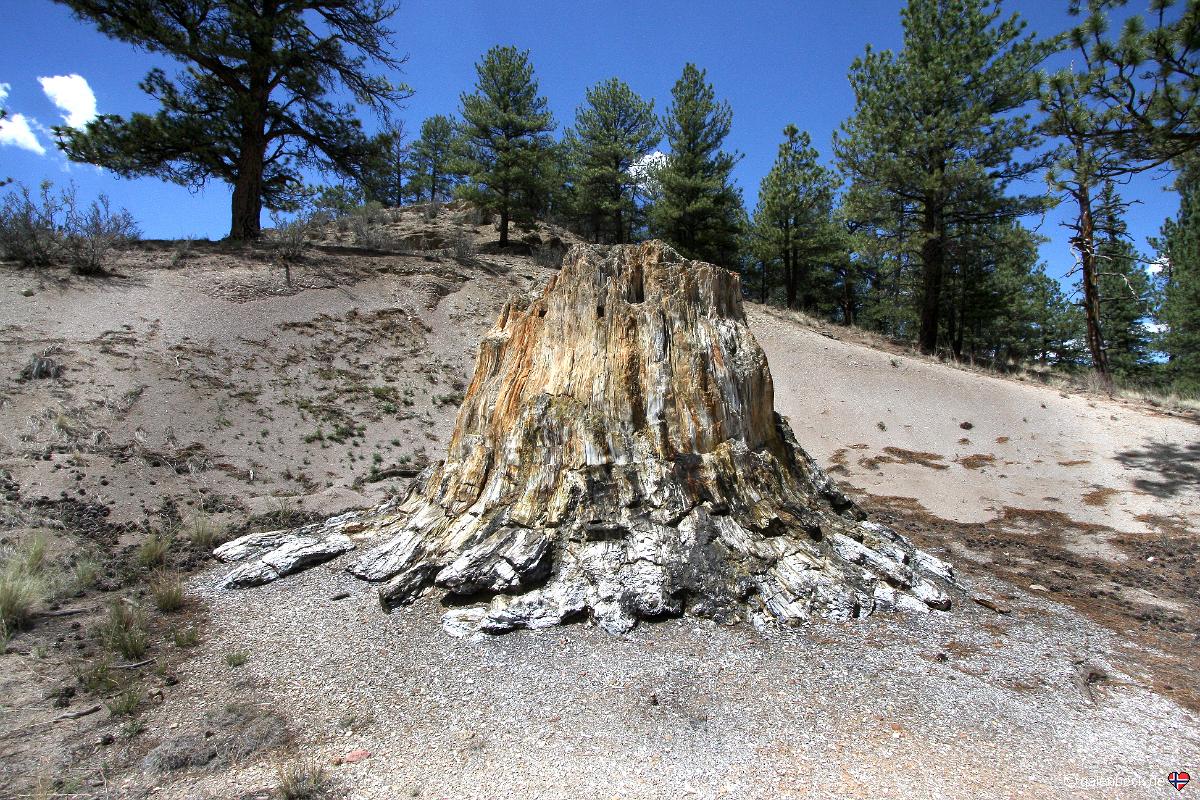Florissant Fossil Beds National Monument