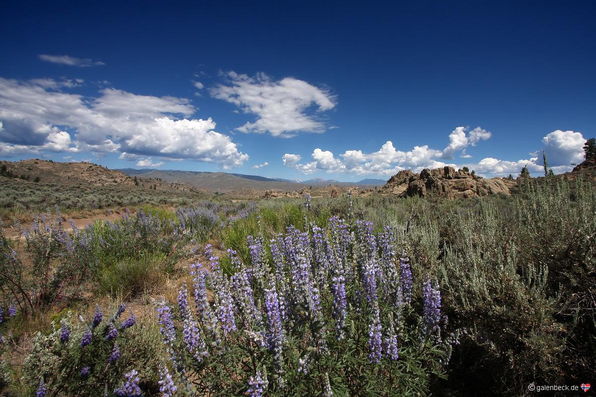 Hartman Rocks Recreation Area