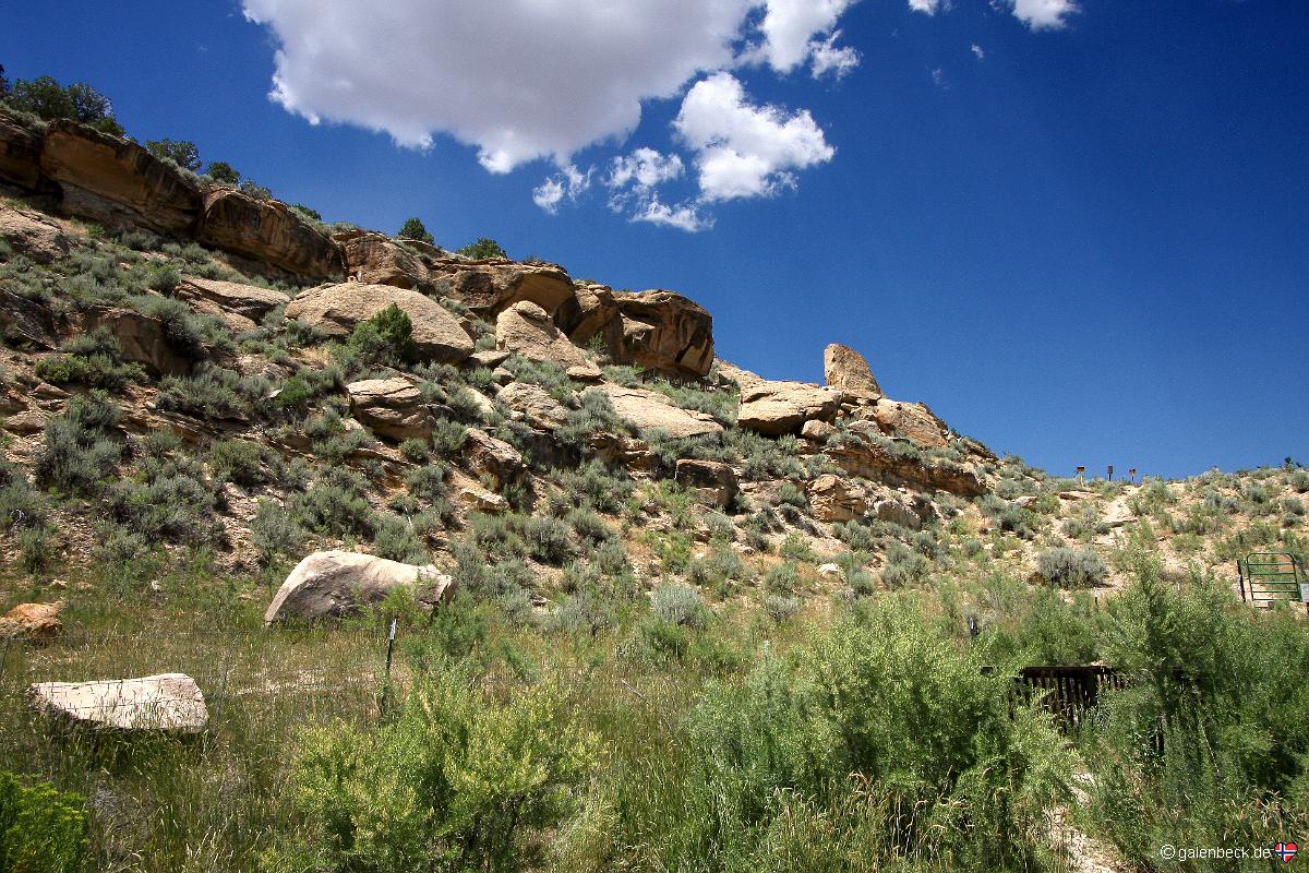 White Birds Recreation Site