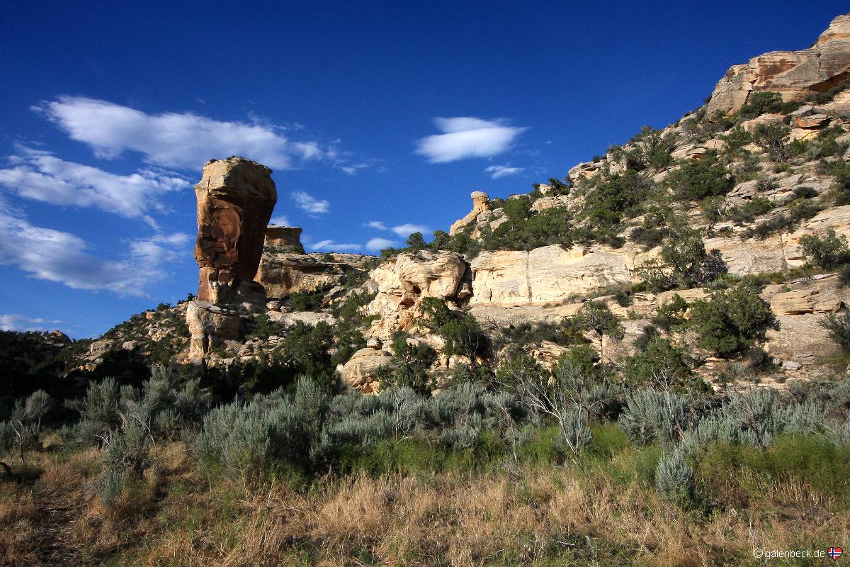 McConkie Ranch Petroglyphs