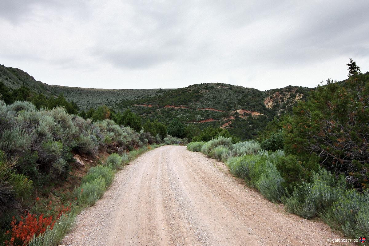 Dinosaur National Monument Canyon Area