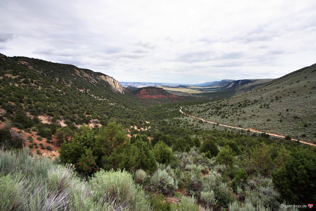 Dinosaur National Monument Canyon Area