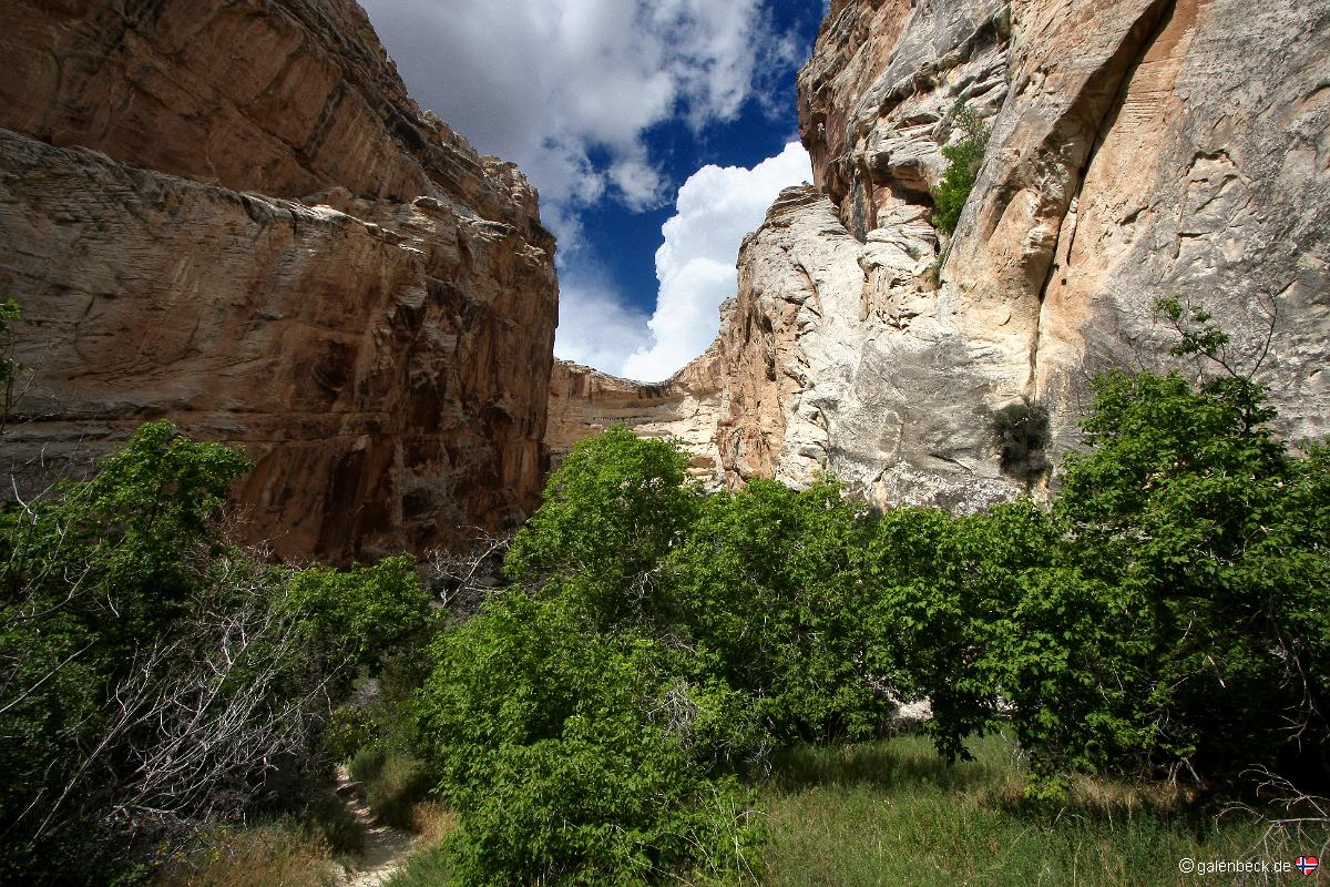 Dinosaur National Monument Fossil Bone Quarry