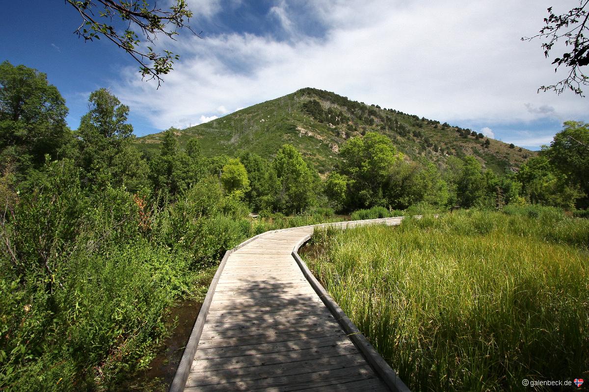 Cascade Springs