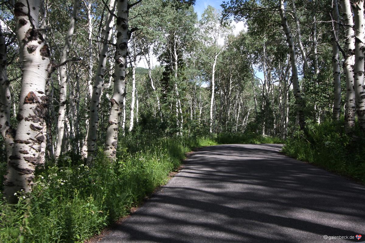 Cascade Scenic Drive
