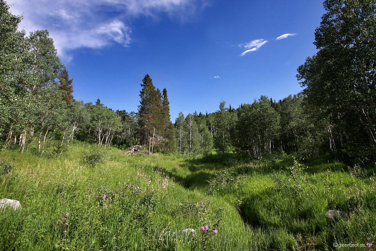 Cascade Scenic Drive