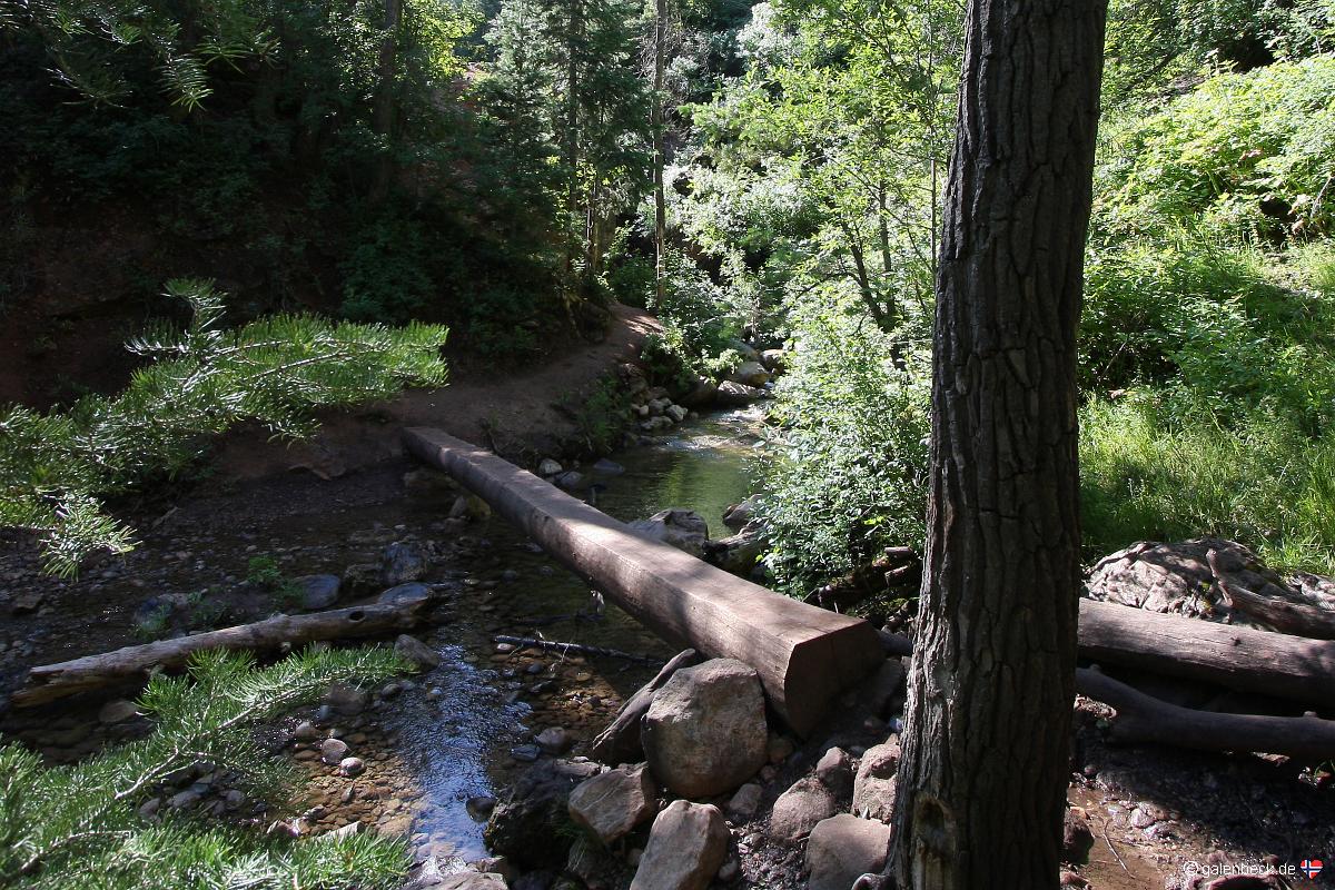 Grotto Falls