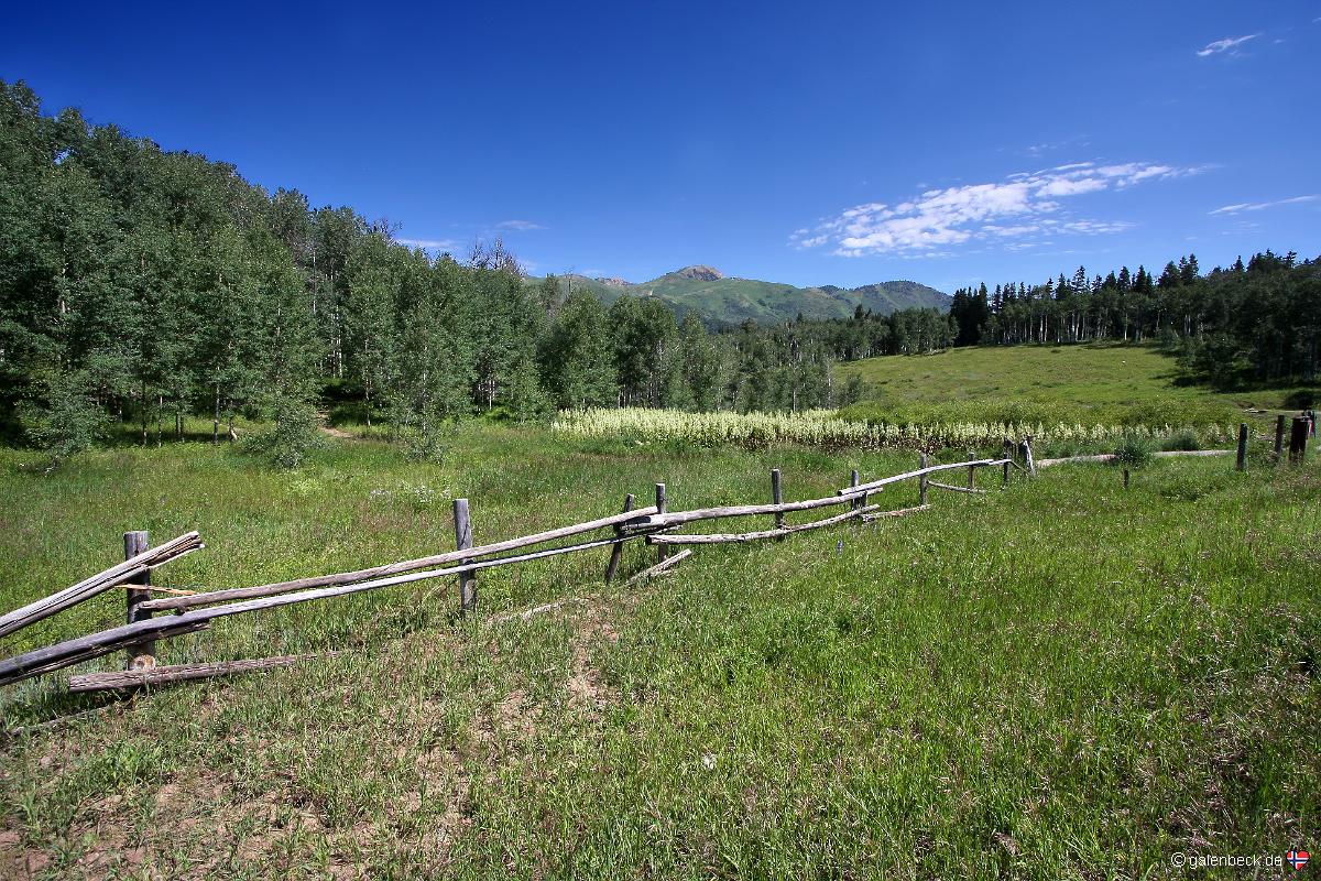 Nebo Loop Road