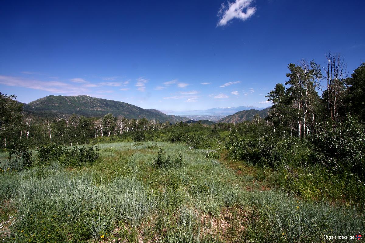 Nebo Loop Road