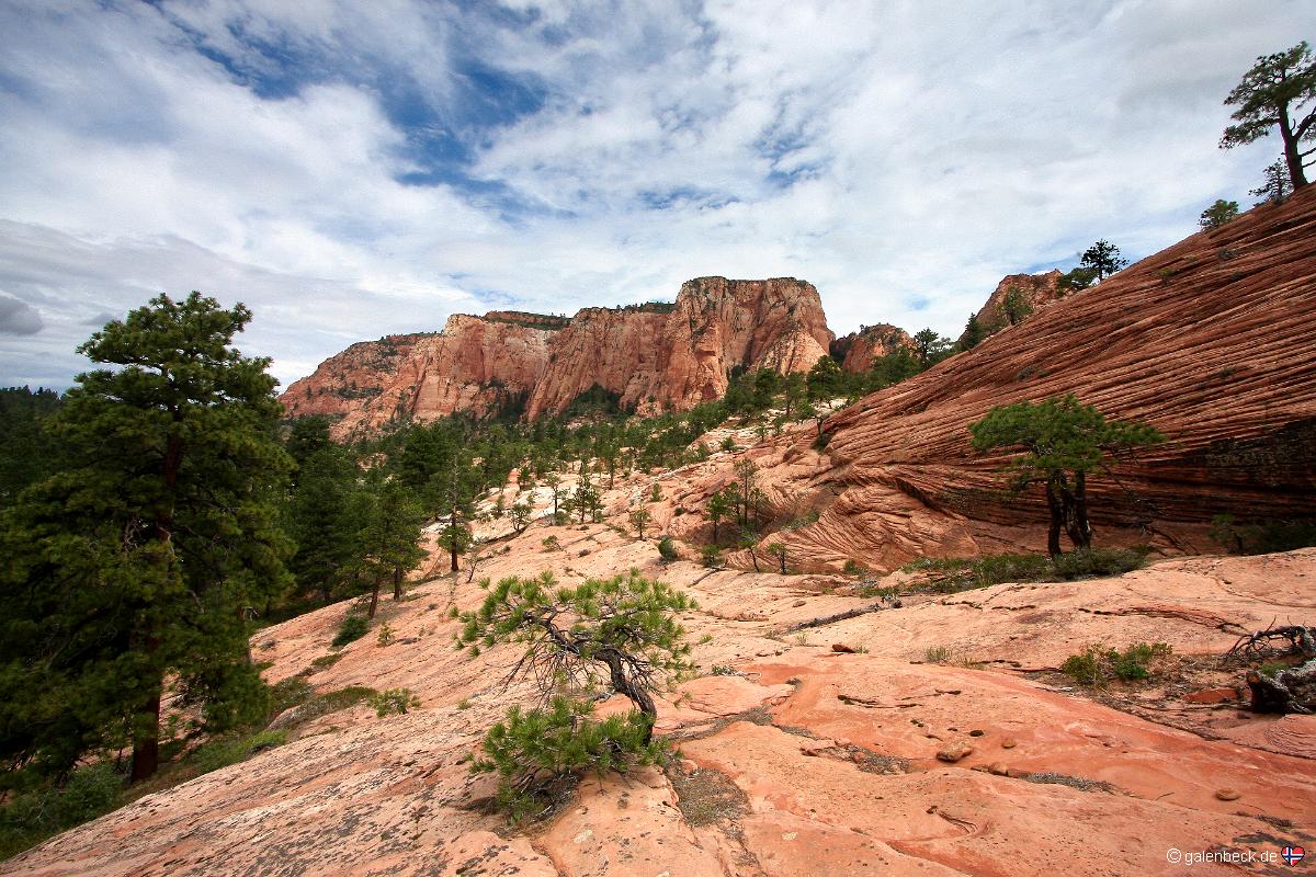 Zion National Park, Kolob Terrace