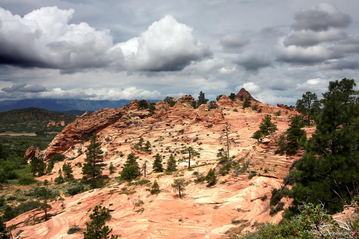 Zion National Park, Kolob Terrace