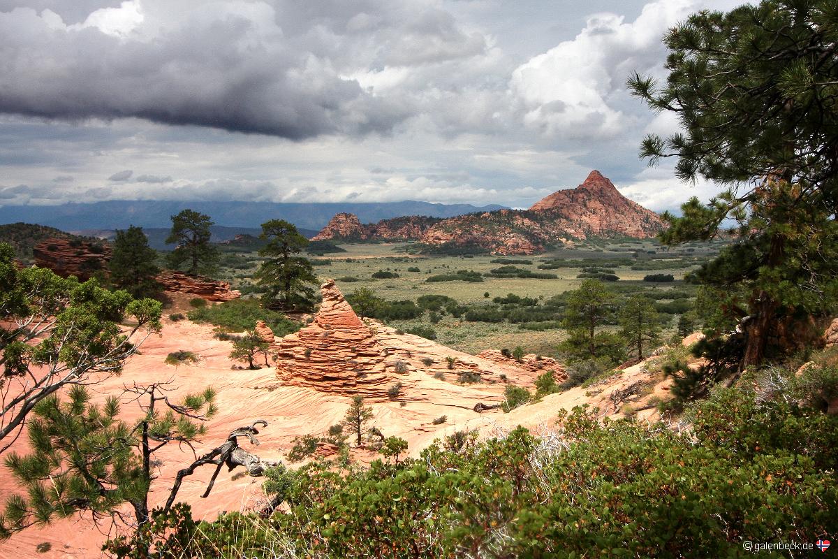 Zion National Park, Kolob Terrace