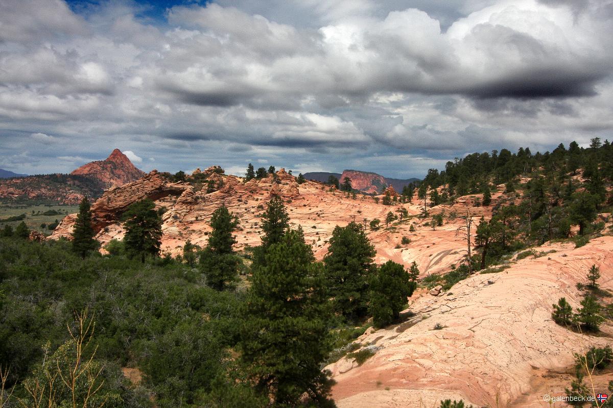 Zion National Park, Kolob Terrace
