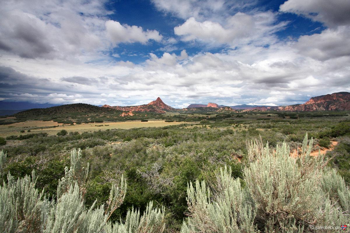 Zion National Park, Kolob Terrace