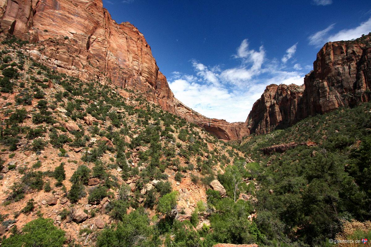 Zion National Park