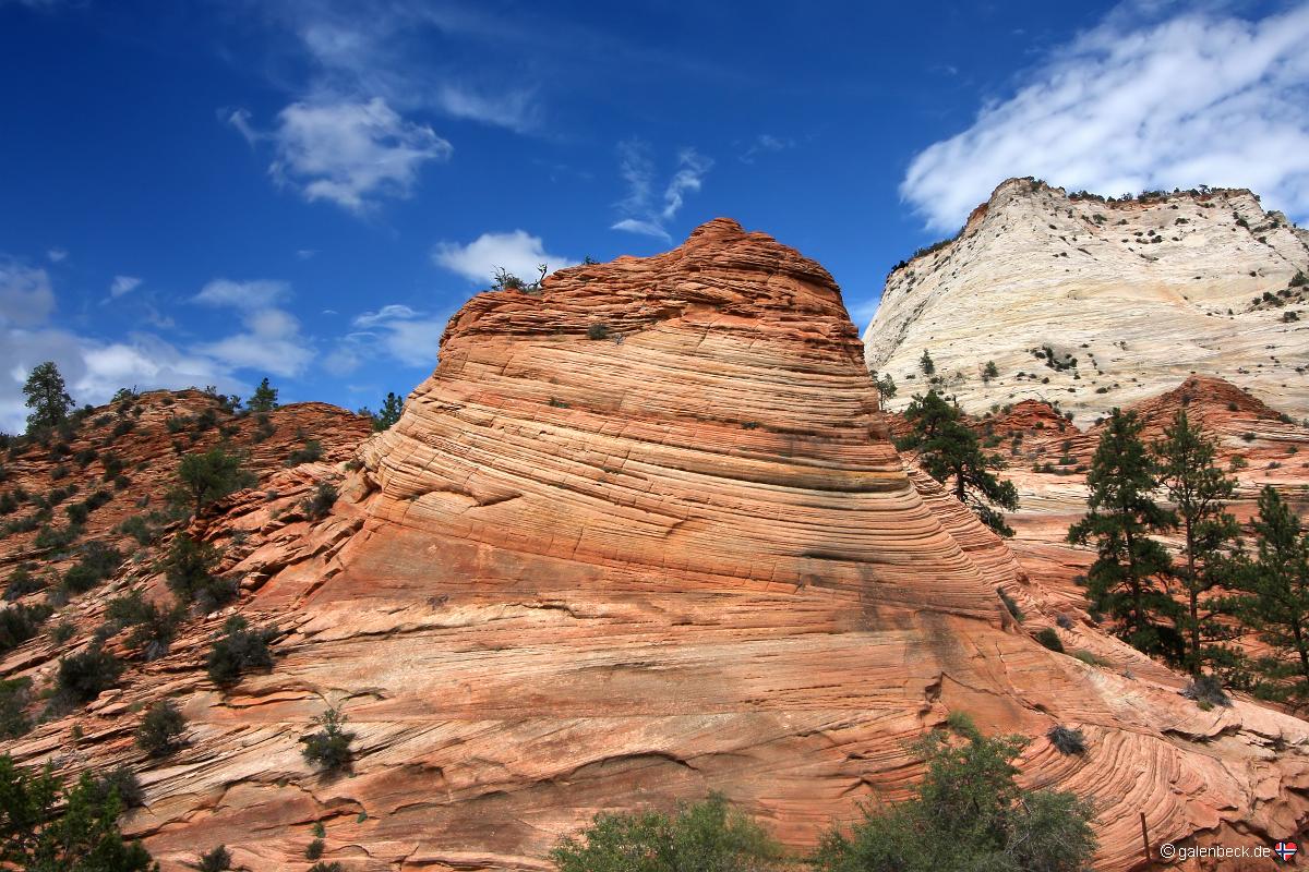 Zion National Park