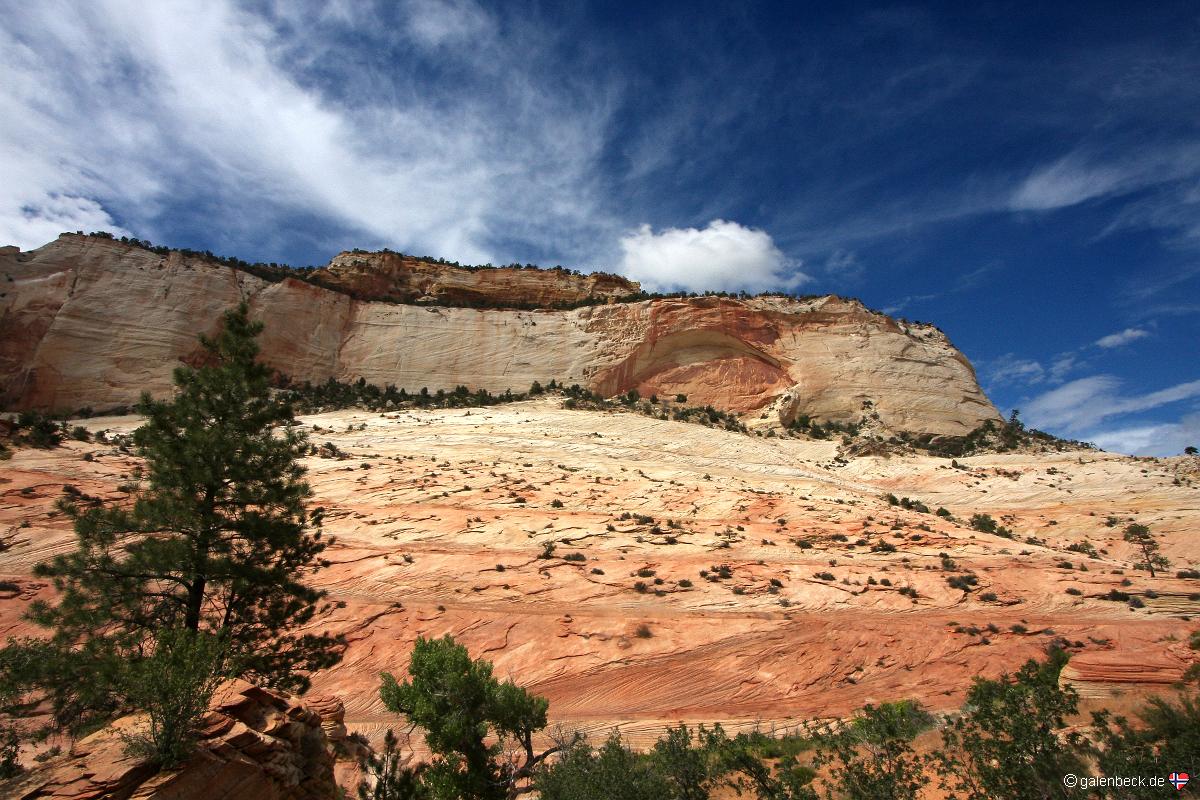 Zion National Park