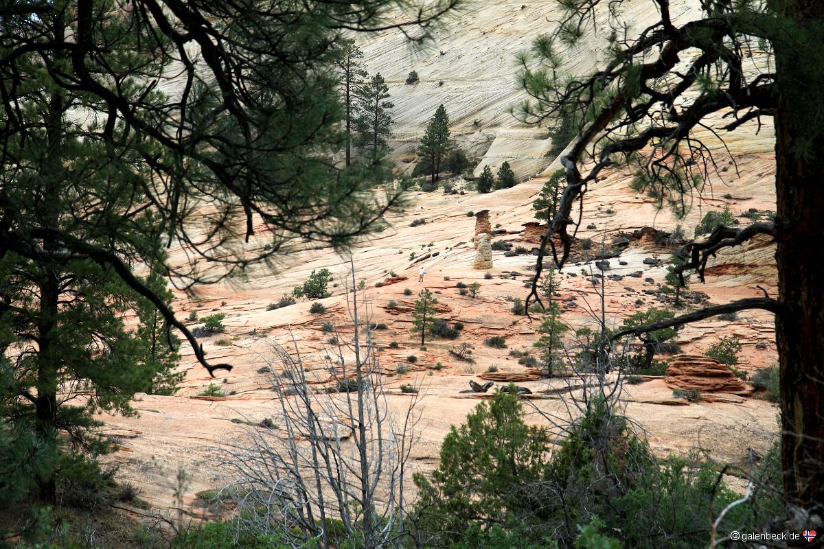 Zion National Park