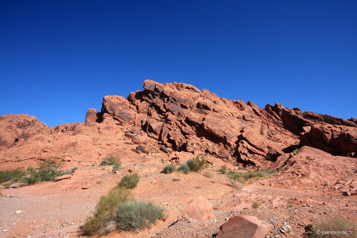 Logandale Trails