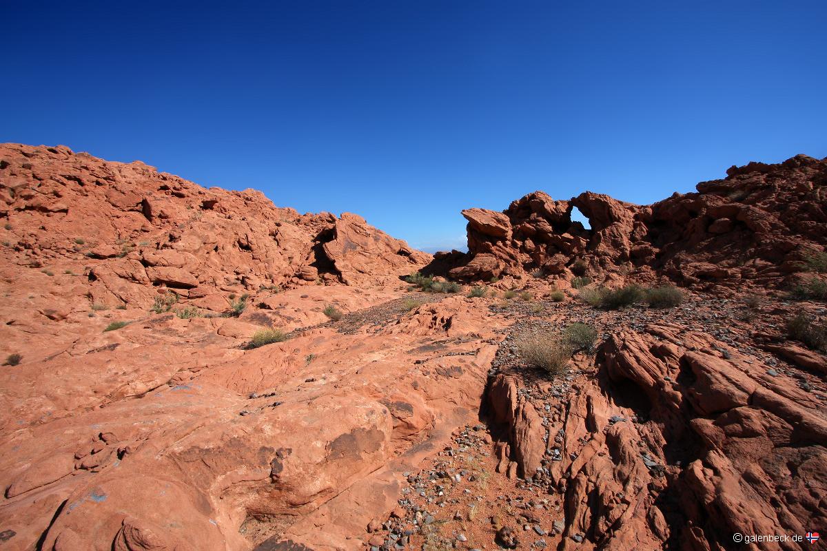 Logandale Trails