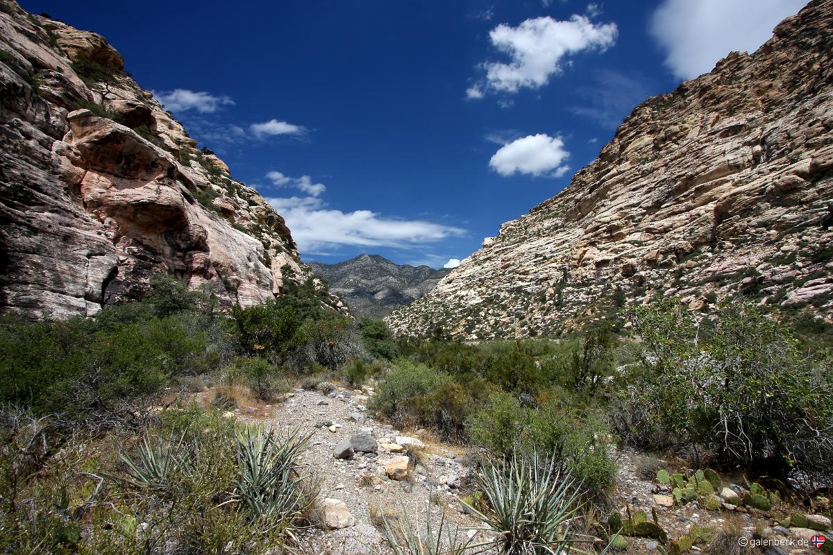 Red Rock Canyon National Conservation Area