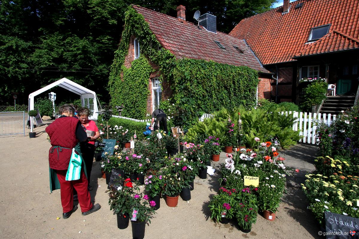 Garten der Schmetterlinge