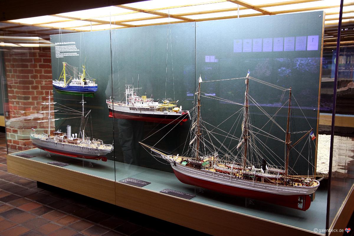 Meeresmuseum Stralsund