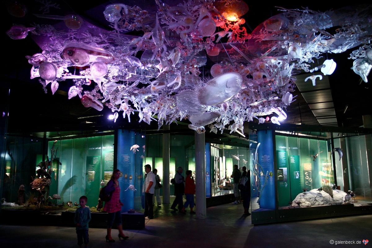 Ozeaneum Stralsund