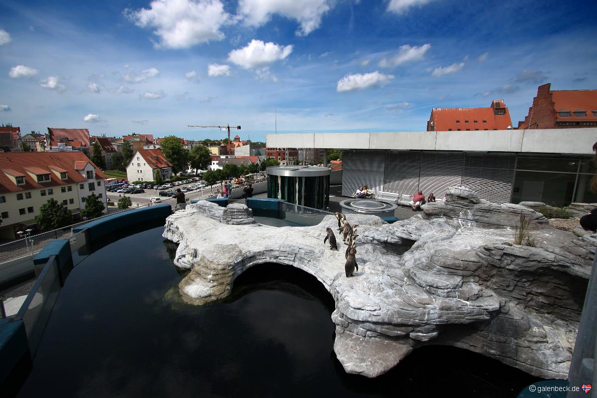 Ozeaneum Stralsund