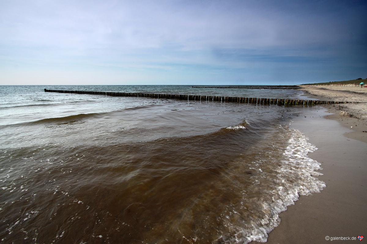 Strand auf dem Darß