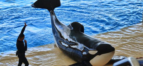 Loro Parque