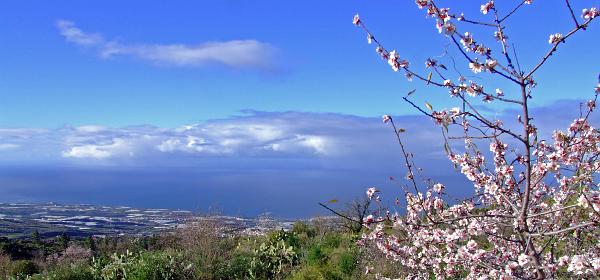 Pico del Teide 01
