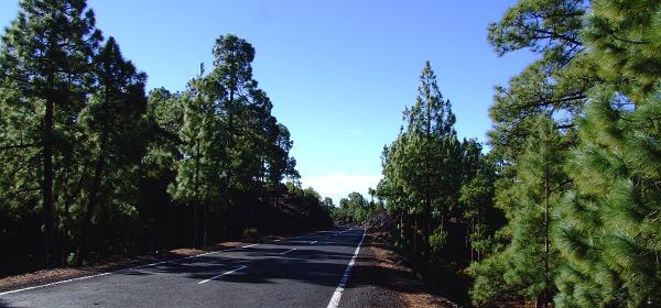 Pico del Teide 08