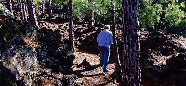Pico del Teide 10