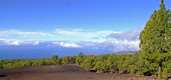 Pico del Teide 15