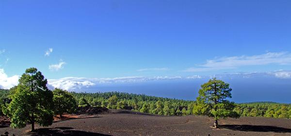 Pico del Teide 16