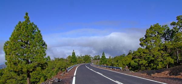 Pico del Teide 17