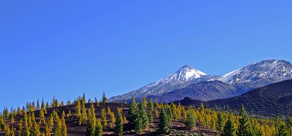 Pico del Teide 21