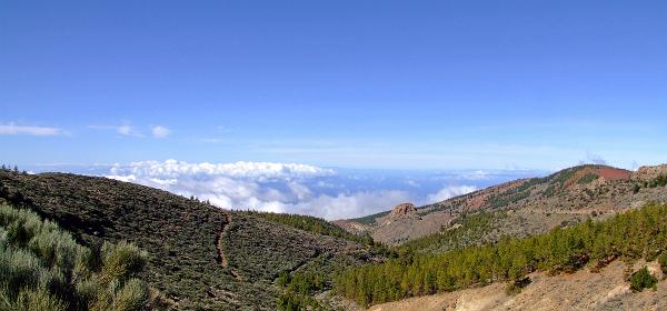 Pico del Teide 42