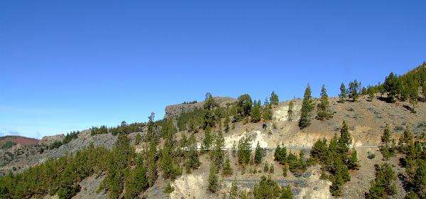 Pico del Teide 43