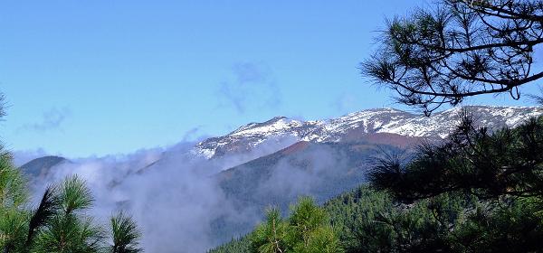 Pico del Teide 83