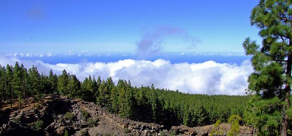Pico del Teide 84
