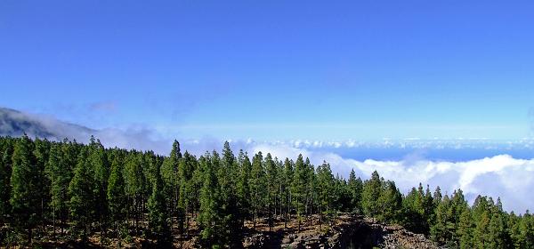 Pico del Teide 85