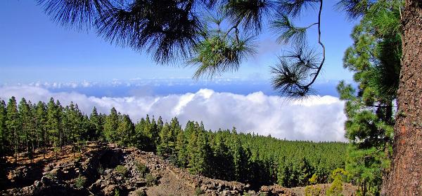 Pico del Teide 86