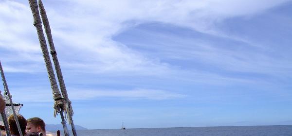 Los Gigantes 13