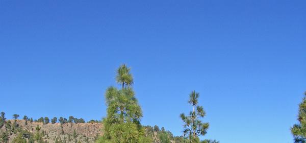 Paisaje Lunar 31